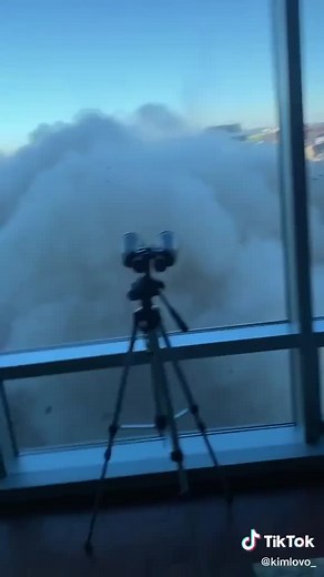 The Oracle on TikTok