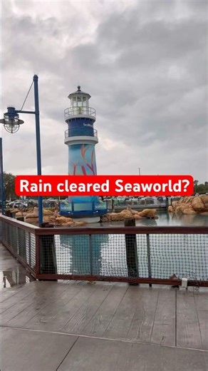 Rain Cleared SeaWorld… Everything Closed 🌧️