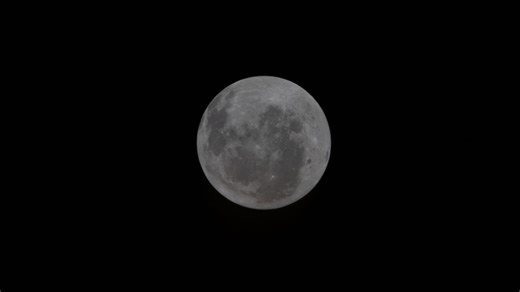 Οι αστροναύτες της αποστολής Artemis II βλέπουν την αθέατη πλευρά της Σελήνης: «Είναι κάτι που δεν έχουμε ξαναδεί» (ΒΙΝΤΕΟ) | AlphaNews