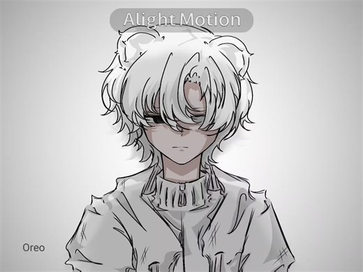 Fanarts and Memes in the Vernalta Fandom