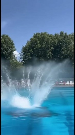 Another epic jump into the pool — all tricks performed by professionals.