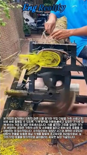 볏짚 고속 절단 : 맞춤형 농기계로 완성하는 사료 가공 공정 #worker #process #agriculture #machinery #farming