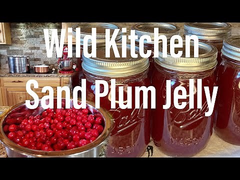 Making Wild Sand Plum Jelly