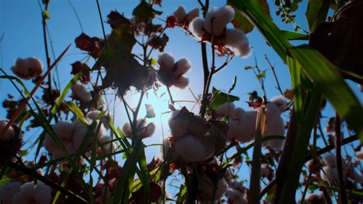 Datacolor Digital Color Management Solutions For A More Sustainable Color Process