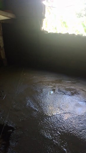 Proctice ta ani og mason @highlight #fbreelsfypシ゚viralfbreelsfypシ゚viral #highlightseveryonefollowers2025alreelsfypシ゚viral | Margen Dominguez