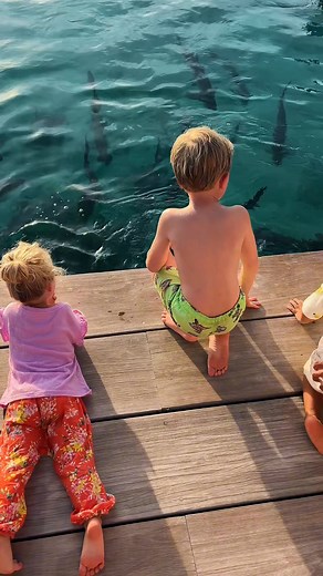 An afternoon that turned into an evening - Saba Rock has a way of keeping you here a little longer. Between tarpon feeding and drinks with friends, the time just slips away. ⚓️ Anchor your heart at Saba Rock || Open daily for breakfast, lunch dinner || Happy Hour 4:00 pm - 6:00 pm upstairs #sabarock #sabarockresort #virgingorda #bvi #caribbeantravel #islandresorts #barefootluxury #returntotherock #nauticalstyle #luxurytravel #britishvirginislands #newseason | Saba Rock Resort