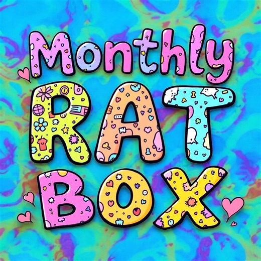 Rat Enrichment Box – Toys, Treats, and Cage Accessories - Etsy Canada