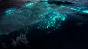 12K views · 202 reactions | Krystian Komisarek unveiled a stunning showcase of fluorescent water, featured in the next Unreal Engine 5's Fluid Flux plug-in update. More particles: https://80.lv/articles/expect-more-particles-in-next-ue5-s-fluid-flux-update/ | 80 Level | Facebook