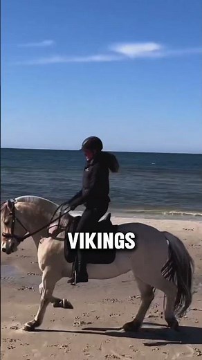 Two Mind Blowing Norwegian Fjord Horse Facts #horse #shorts