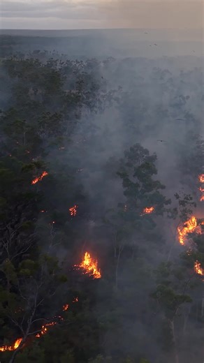 34K views · 437 reactions | 4,000km OFF GRID across Australia's top end - FIRST IN AFTER WET SEASON  LIVE NOW on YouTube  - #4x4 #offgrid #touring #overlanding #adventure #explore | 4WD 24/7 | Facebook