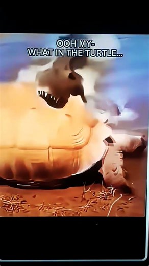 This is what a turtle looks like without a shell