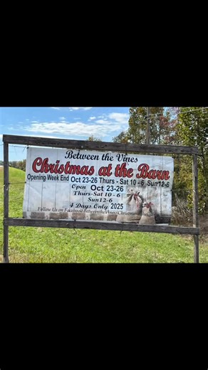 We took a trip out to Christmas at the Barn hosted by Between the Vines, and wow, what a hidden gem! Tucked away on a farm situated at the foot of the East Tennessee mountains, this beautiful barn is open only ONE weekend a year, and it’s truly a Christmas wonderland. From the moment you turn down the gravel road, you’re greeted with holiday warmth, twinkling lights, the scent of cinnamon and pine, and the sound of Christmas music filling the air. Inside, every corner is filled with festive trea