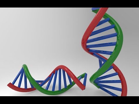 3D modelling DNA strand in AutoCAD