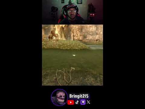 We found Aliens VS Predator!