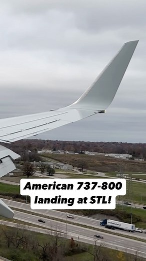 3.8K views · 112 reactions | American Airlines Boeing 737-800 landing...