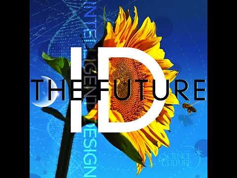 The Pentadactyl Whale Flipper: An Engineering Masterstroke