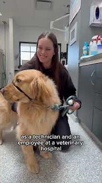 From kennel attendant to vet tech!