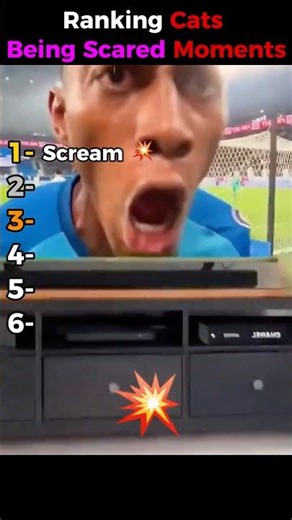 Ranking the Funniest Cat Jump Scares Ever! 😹💥 #shorts