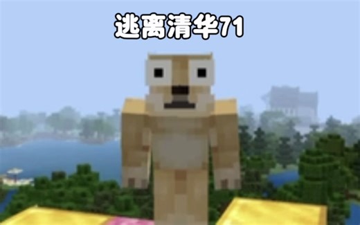我的世界：逃离清华71，带你认识一下细狗