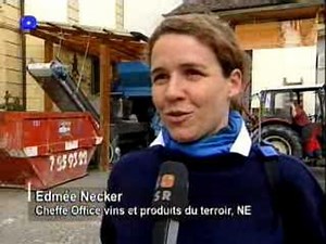 NE: 1ères vendanges pour la 1ères femme à la tête d'un Office cantonal des vins - Couleurs locales - Play RTS