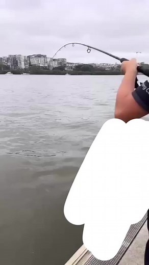 dabz_fishing_adventures on TikTok