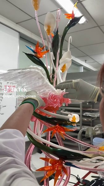 APCA Philippines on TikTok