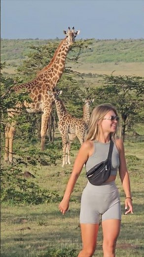 🦒 Meeting Giraffe on a Nature Walk 🦒 #Wildlife #Safari