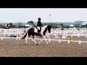 British Dressage Novice 3 test 2024 68.8%