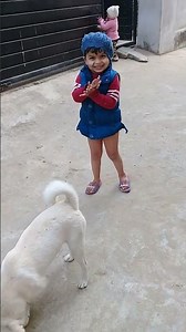 Sibling Stray pups activity in evening | Summers | Mountain Village | Nature Buddies -Animals | Pets