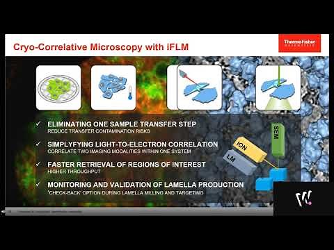 Turn on the lights in cryo FIB tomography sample preparation