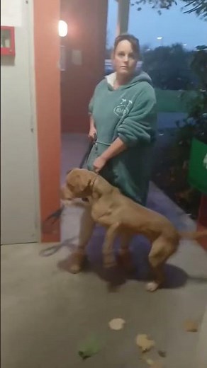 elle l'agresse avec son chien 🐕 #pourtoi