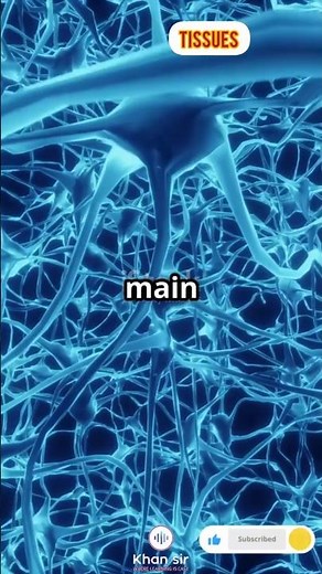 Tissues:Types & Functions #education #biology #neet #science