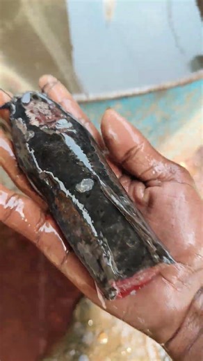 #newsong #cover #song🐠🐠 #coversong #singer #fish🐠🐠 #exoticaquariumfish #fishing 🥹