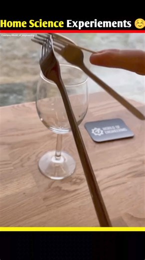 207K views · 4.4K reactions | Easy Home science experiments #reelsfbシ #reeelsfb #viralreels #reelsvideo #reelsfb #science #facts #reels #experiements #home #fun | Factslab | Facebook