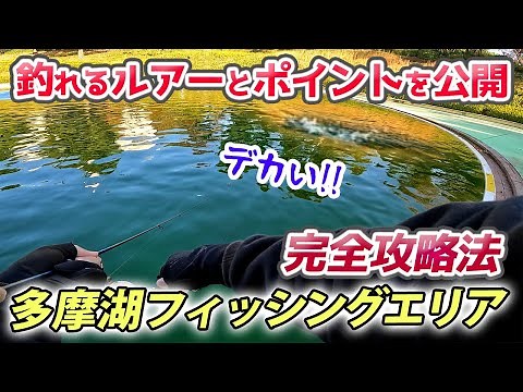 最強の釣り方公開！多摩湖フィッシングエリア完全攻略法【エリアトラウト・管理釣り場・西武園・TFA】／HartDesign TV(ハートデザインTV) 【Vol.379】