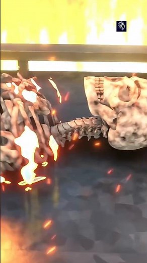 How Cremation is Works 😱