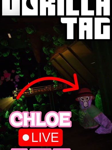 Gorilla tag Masked Monkey Live Event! #gorillatag #gtcs #vr #gt #gtag @realgorillatagvr