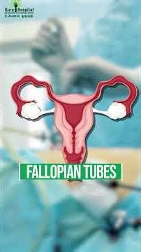 Confused Between Hysteroscopy and Laparoscopy?