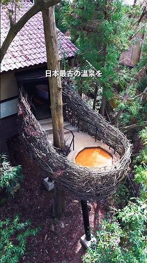 死ぬまでに一度は行きたい極上の温泉旅館が最高すぎた…！#ホテル #ホテル紹介 #温泉宿 #温泉旅館 #有馬温泉 #御所別墅 #有馬山叢御所別墅