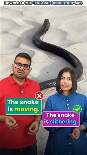 Stop Saying "Move" Every Time! 😲 Part-2 | Learn 5 Smart English Words | English Connection #shorts