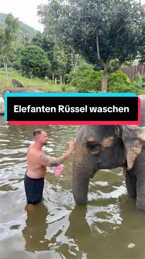 #fy #viral #animal #traveltok #funn