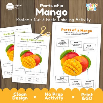 Parts of a Mango Anatomy Poster | Tropical Fruit Science Cut and Paste Labeling