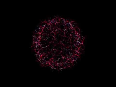 The Latest News On Oliver Warders! Episode 1018