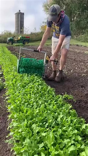 maria from denmark (@maria.from.denmar4)’s videos with original sound - maria from denmark