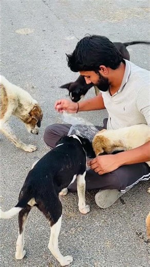 Subscribe and get help for daily feeding support 🙏🏻❣️