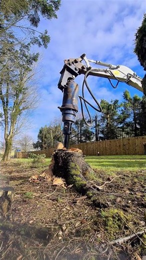 Auger Torque 8000 Max earth drill and stump planer removing tree stumps