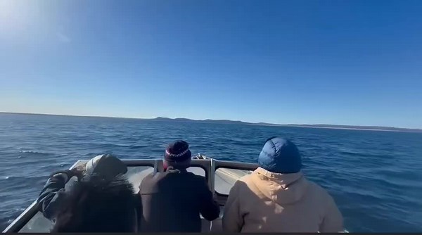 Exploring the Twin 150 Yamaha on JAWS 2 Boat