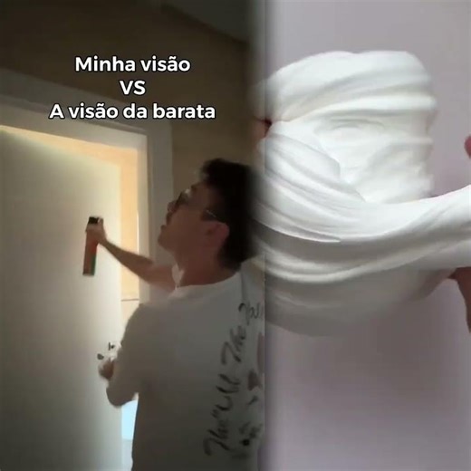 MY VISION VS THE COCKROACH’S