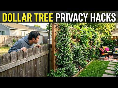 10 Dollar Tree DIY Privacy Screen Hacks That Transformed My Backyard🌿🏡
