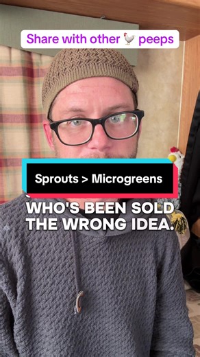 Sprouted grain vs microgreens for chickens because the science matters. Research consistently supports sprouted grain for digestibility, enzyme activation, and nutrient availability. Microgreens look good, but chickens don’t digest them well. Evidence-based poultry nutrition explained.